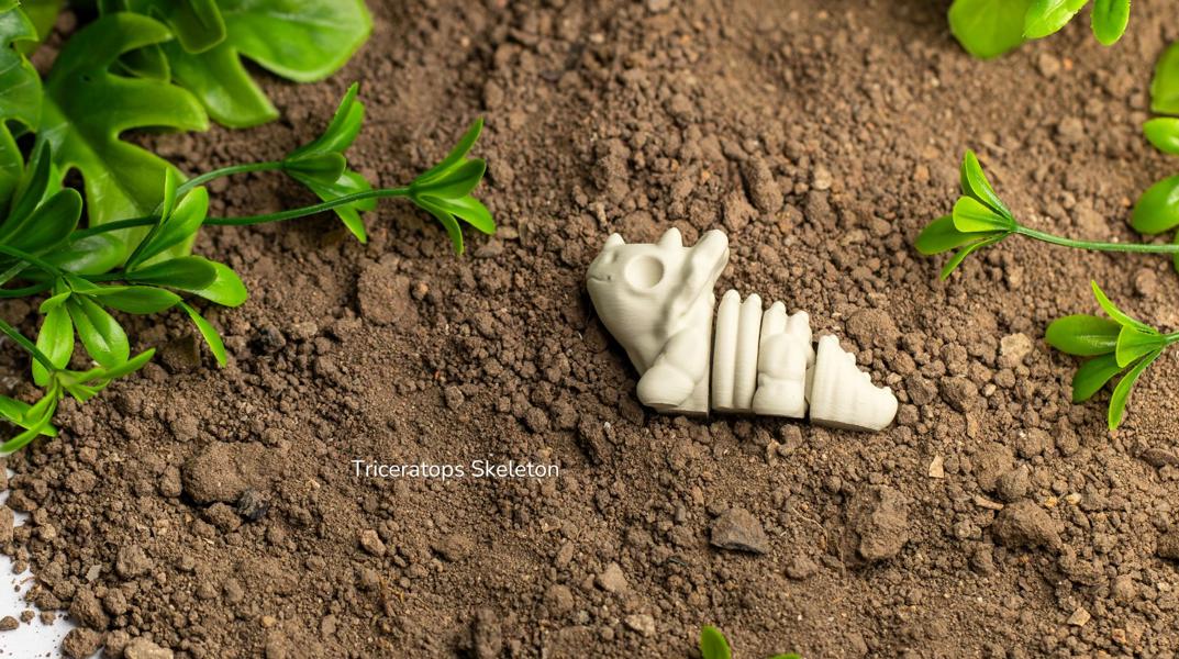 Baby Triceratops Skeleton – Articulated 3D Dinosaur Model + Keychain Gift, Collectible Dino Figure