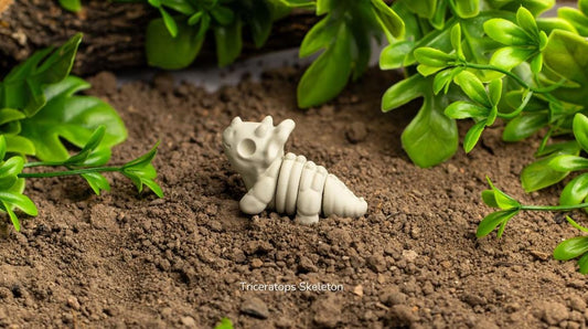 Baby Triceratops Skeleton – Articulated 3D Dinosaur Model + Keychain Gift, Collectible Dino Figure