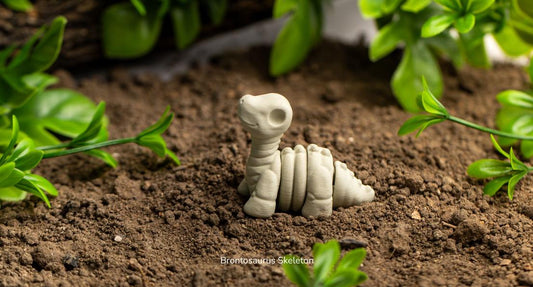 Baby Brontosaurus Skeleton – Articulated 3D Dinosaur Model + Keychain Gift, Collectible Dino Figure