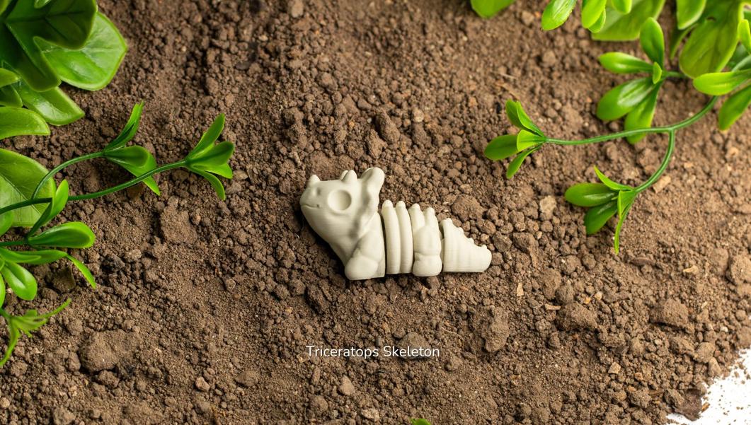Baby Triceratops Skeleton – Articulated 3D Dinosaur Model + Keychain Gift, Collectible Dino Figure