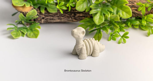 Baby Brontosaurus Skeleton – Articulated 3D Dinosaur Model + Keychain Gift, Collectible Dino Figure